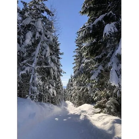 With 2 Bedrooms Zirkitz