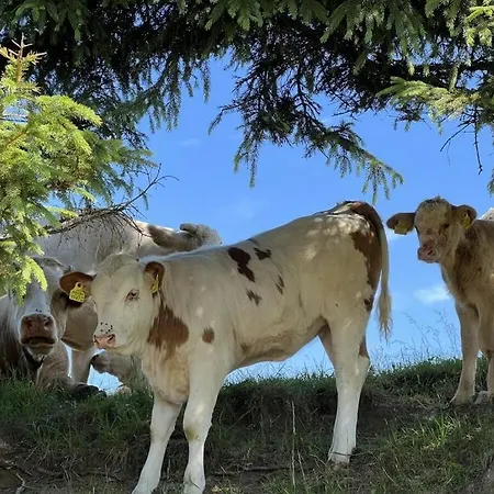 別荘 With 2 Bedrooms