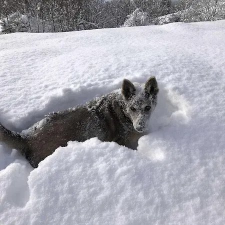 With 2 Bedrooms 別荘 *