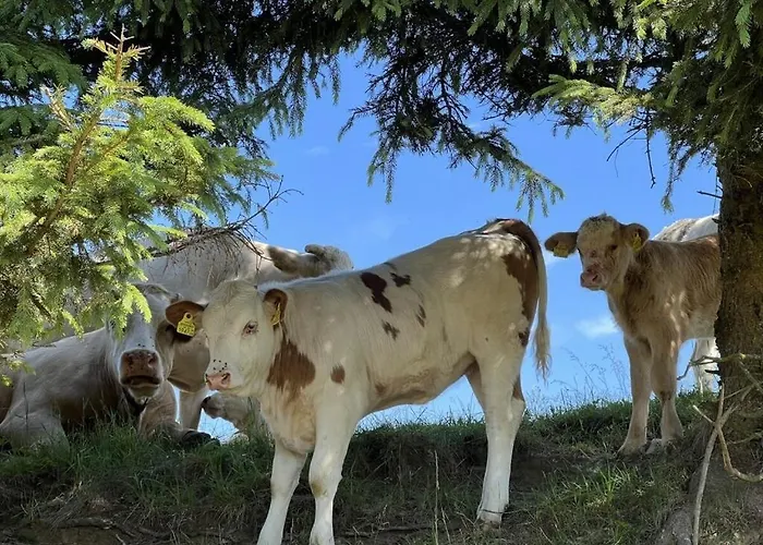 بيت للعطل With 2 Bedrooms