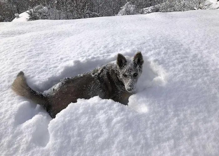 With 2 Bedrooms بيت للعطل *